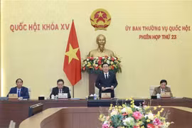 越南国会常委会第二十三次会议开幕