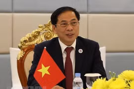 越南外交部长裴青山出席应对合成毒品威胁在线会议