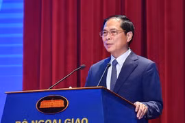 越南外交部召开2023年上半年工作总结会议
