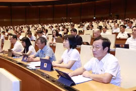 第十五届国会第五次会议：解决公共投资资金分配和到位缓慢问题