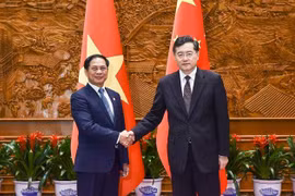 越中外长讨论促进双边关系的措施