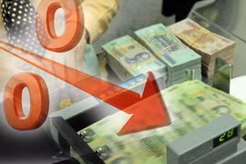 越南国家银行要求信贷机构下调利率
