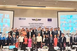 越南积极寻找助力航空业减少碳排放的解决方案
