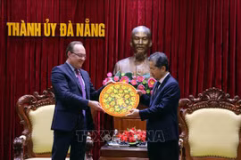 岘港加强与俄罗斯企业的联系与合作