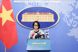 外交部例行记者会：谴责在菲律宾侮辱越南国旗行为