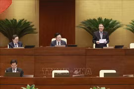 第十五届国会第六次会议：尽量减少对越南投资环境的不利影响