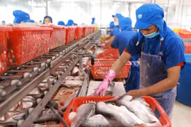 同塔省出口额首次突破15亿美元大关