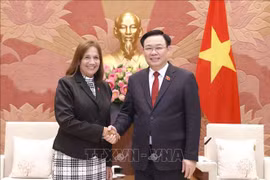 国会主席王廷惠会见古巴全国人民政权代表大会副主席