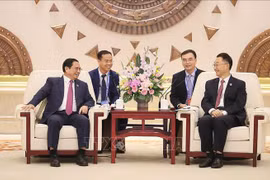 越南政府总理范明政会见中国广西壮族自治区党委书记刘宁