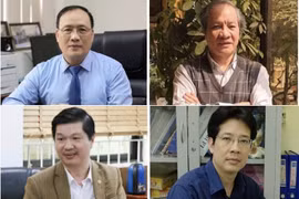 越南14名科学家跻身2023年度世界顶尖科学家行列