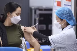 世界卫生组织驻越南首席代表安吉拉·普拉特：越南正处于新冠肺炎疫情“可持续管理”阶段