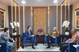 加强越南和印度尼西亚两国外交部合作