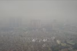 河内、乂安、平定等地空气质量差，不利于人体健康