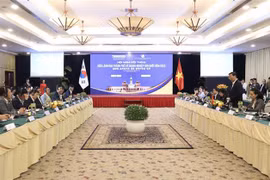 胡志明市助力韩国企业化解难题