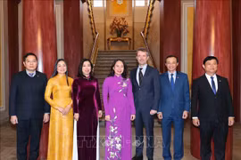 越南国家副主席武氏映春会见丹麦王储殿下弗雷德里克