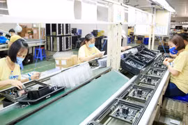 在全面战略伙伴关系框架下推动越韩关系迈上新台阶
