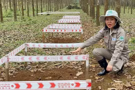 抚平战争创伤的先驱者