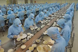 越南企业增加投资 抓住燕窝出口机会