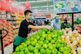 越南蔬果主要出口市场增长良好