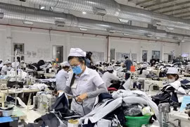 巴地头顿省吸引外资呈下降趋势 