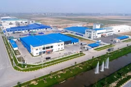 芹苴市越南新加坡工业园区启动仪式即将举行