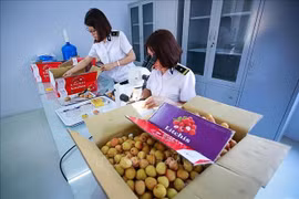 越南第十五届国会第五次会议：力争在北部建立出口水果辐照处理中心