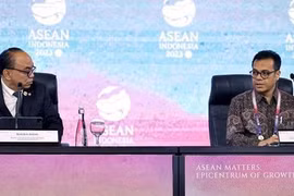 第43届东盟峰会：东盟加强合作 打击虚假新闻
