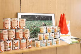 越英双边关系迎来新的发展机遇