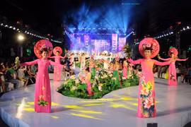 第九次胡志明市奥戴节活动精彩纷呈