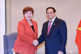 越南政府总理范明政会见国际货币基金组织总裁和经合组织秘书长