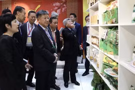 促进越南和新加坡企业之间的贸易联系