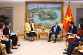 越南政府副总理陈红河会见联合国儿童基金会驻越代表处代表