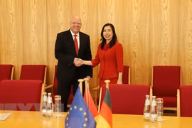 第七次越德副外长级战略对话在德国举行
