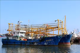 解除IUU“黄牌"警告：广治省进入打击IUU高峰期 
