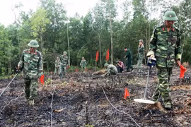 越南努力扫雷，清理土地，保障民生