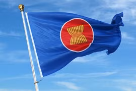 越南和国际移民组织合作提高东盟移民者健康水平