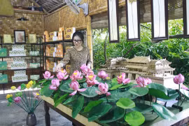 越南宁平省大力开发与莲花制品相结合的旅游线路 