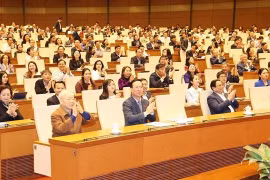 第十五届国会第六次会议：讨论选民意见建议解决情况的监督结果