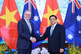 “竹式外交”特色：越南与国际社会密切联系的烙印