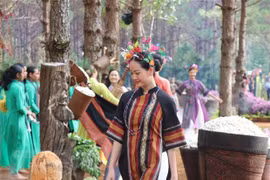 越南西原地区土锦布令人印象深刻