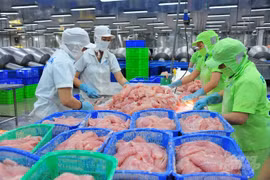 中国大量购买越南查鱼