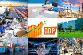 2022年越南经济取得骄人成绩