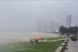 越南中部地区遭受暴雨袭击 给人民生命财产造成重大损失