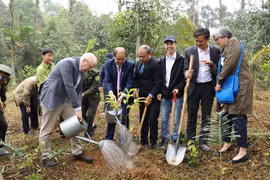 庆祝越南芬兰建交50周年植树活动在菊芳国家公园举行