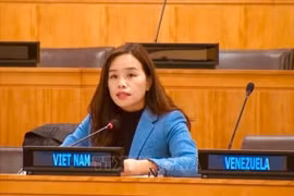 越南继续与东盟携手助推缅甸和平进程