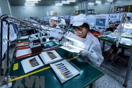 欧洲企业对越南的商业信心恢复增长