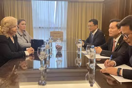 越南副外长何金玉会见越南驻乌拉圭名誉领事