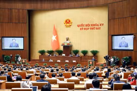 十五届国会六次会议第四工作周：聚焦立法和监督工作