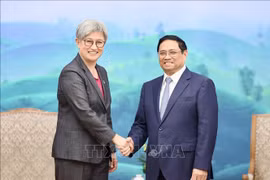 越南政府总理范明政会见澳大利亚外交部长黄英贤
