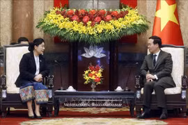 越南国家主席武文赏会见老挝最高人民法院院长万通•西潘敦